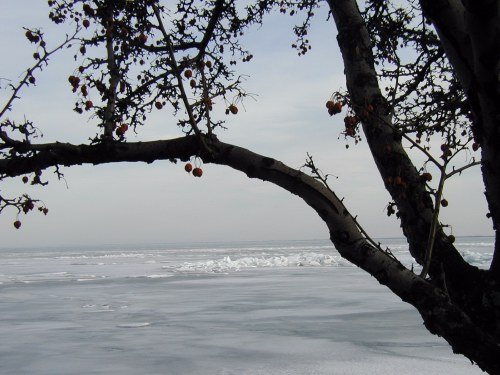 Lake St. Clair shoreline in March 2007