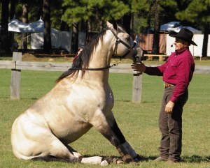 Dr. Lew Sterrett's horse demonstrates the character of obedience